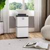Dehumidifier for Home 12L Mould and Moisture Damp Mould Quiet 36dB with Timer