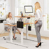 120 x 60cm Height Adjustable Desk Electric Standing Desk Home Office Natural
