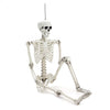 Poseable Full Life Size Human Skeleton 160cm Model Horror Bone Halloween Deco UK