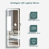 Mirror Jewelry Cabinet Lockable LED Jewelry Armoire Storage Organizer with Light