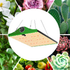 LED Grow Plant Lights 350W Grow Lamp Full Spectrum for Indoor Veg Flower Panel