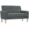 2 Seater Sofa, Velvet-Feel Upholstered Loveseat for Small Space, Grey