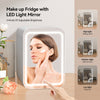 4L Mini Fridge with Light Mirror Portable Cooler Warmer Table Top Bedroom Makeup