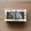 Lion Family Picture Liquid Art Blue Eyes King Queen Crown Mirror Frame 85x45 cm