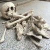 Halloween Decoration Skeleton Skull Bones Haunted Houses Party Scary Ornament UK