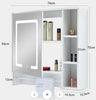 Tavion Bathroom Mirror Cabinet w/ shelves with Lights [1 Door+3 Shelves] 27-2-20