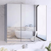 Triple Door Bathroom Mirror Cabinet Cupboard Stainless Steel Wall Mounted 700mm