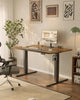 120x60cm Electric Standing Desk with USB Charging Height Adjustable Desk with