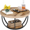 Round Coffee Table, Industrial 2-Tier Circle Coffee Table with Storage Shelves