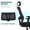 Ralex-chair Ergonomic Office Chair, Desk Chair with Adjustable Headrest, Black