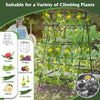 Foldable Trellis Garden Climbing Plant Support w/Adjustable Auxiliary Clips