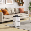 Dehumidifier for Home 12L Mould and Moisture Damp Mould Quiet 36dB with Timer