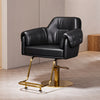 Classic Adjustable Hydraulic Barber Chair Hairdressing Salon 360° Swivel Chair