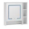 Bathroom Cabinet With LED Light Mirror Storage Unit Touch Switch 2 Shelf Hanger