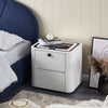 LED Bedside Table Wireless Charging Side Cabinet Nightstand with 2 Drawers White
