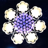 Modern LED Crystal Ceiling Lights Chandelier Lamp Kitchen Bed Living Room Light