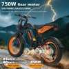 Electric Bike 750W Motor 48V 18.2Ah Fat Tire E-Bike 20x4.0 All Terrain Adult