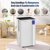 12L Dehumidifier Air Purifier For Mould and Moisture Extraction Quiet 38dB - 25㎡