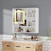 Bathroom Mirror Cabinet With LED Touch Switch Staorage Wall Mounted 2 Door