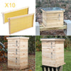 Langstroth/UK Beehive Box Wooden Bee Hive Frames Beekeeping Honey Brood Box Kit