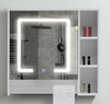 Tavion Bathroom Mirror Cabinet w/ shelves with Lights [1 Door+3 Shelves] 27-2-20