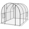 Polytunnel Greenhouse with Clear Cover, Walk-in Grow House, 3 x 2 x 2m