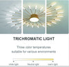 LED Ceiling Light Modern Dimmable Ceiling Lamp Flush Mount Gold/Black Design wit