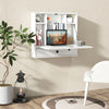 Wall-mounted Desk Home Office Floating Computer Workstation with Shelves