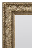 Extra Large Mirror Gold Ornate Leaner-Wall 168x77cm Antique Style MirrorOutlet