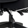 Mesh Ergonomic Office Chair with Lumbar Support, Headrest, Black