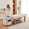 Japanese Head Spa therapy With Steam Machine Spa Basin and Hood Portable
