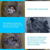 Smart Bird House W/Camera 2K Birdhouse Camera for Outdoors with Solar Panel