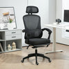 Mesh Ergonomic Office Chair with Lumbar Support, Headrest, Black