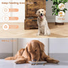 Dog Feeding Station with 2 Elevated Bowl Flip Top Dog Food Toy Storage Container