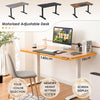 Stand-up Ergonomic Computer Workstation Electric Standing Desk Black