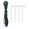 Walk in Polytunnel Garden Greenhouse Window Door Outdoor Plant Flower 6 x 3M
