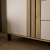1-Door 3-Drawer Chest - Modern Storage Unit, Wooden Frame, Stylish Design