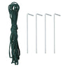 Walk in Polytunnel Garden Greenhouse Window Door Outdoor Plant Flower 6 x 3M