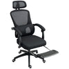 Mesh Ergonomic Office Chair with Lumbar Support, Headrest, Black
