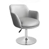 "TURIN" FAUX GREY LEATHER STYLE HAIRDRESSER SWIVEL CHAIR BEAUTY SALON FURNITURE (TURIN SALON)