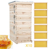 2/3/4Tier Langstroth Beehive Wax Foundation Sheet Frame Wood Bee Hive Beekeeping