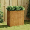 Raised Garden Flower Beds Rusty Metal Large Planters Weathering Steel