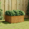 Raised Garden Flower Beds Rusty Metal Large Planters Weathering Steel