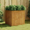 Raised Garden Flower Beds Rusty Metal Large Planters Weathering Steel