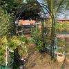 Heavy Duty Metal Garden Arch Arbour for Roses Amalfi with Ground Spikes