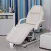 Electric Massage Table 3 Section Adjustable Bed Couch Beauty Salon Tattoo Chair