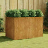 Raised Garden Flower Beds Rusty Metal Large Planters Weathering Steel