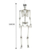 3/5ft Posable Halloween Hanging Human Skeleton Haunted House Party Prop Spooky