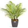 Artificial Areca Palm Tree Natural Looking Faux Plant in Pot 2ft 3ft 4ft 5ft 6ft
