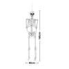 170cm Giant Full Life Size Human Skeleton Model Horror Bone Posable Halloween